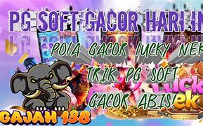 Pola Slot Pg Soft Lucky Neko Hari Ini 2024 Terbaru